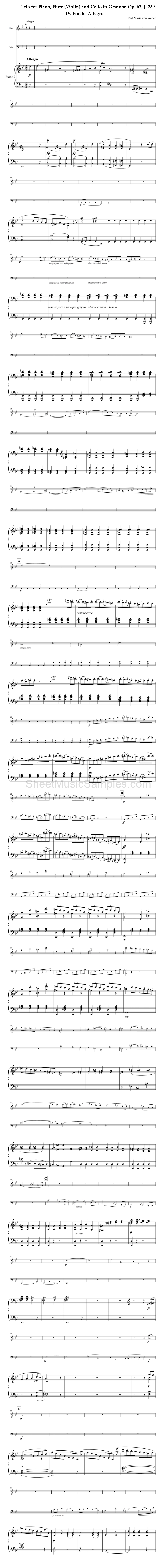 Trio for Piano, Flute (Violin) and Cello in G minor, Op. 63, J. 259 - IV. Finale. Allegro