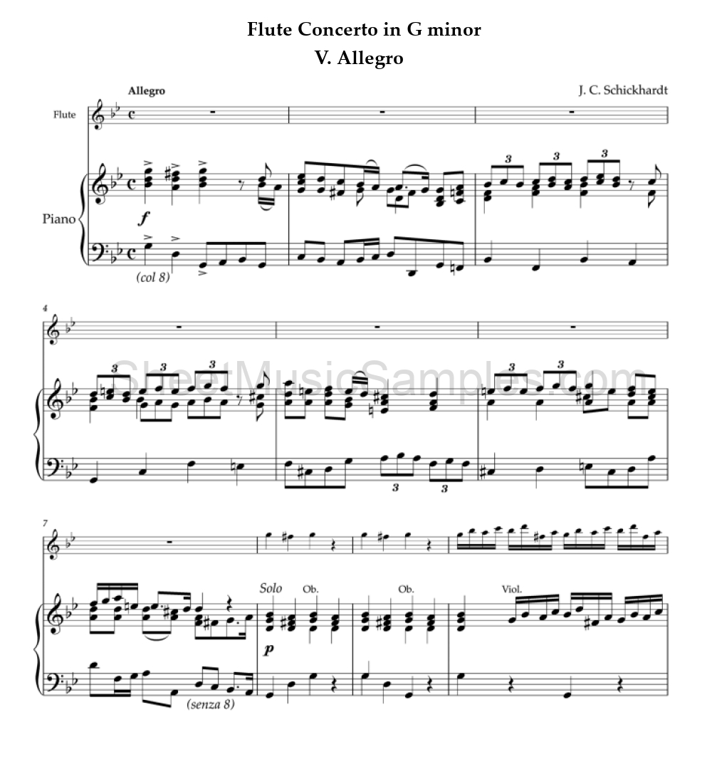 Flute Concerto in G minor - V. Allegro