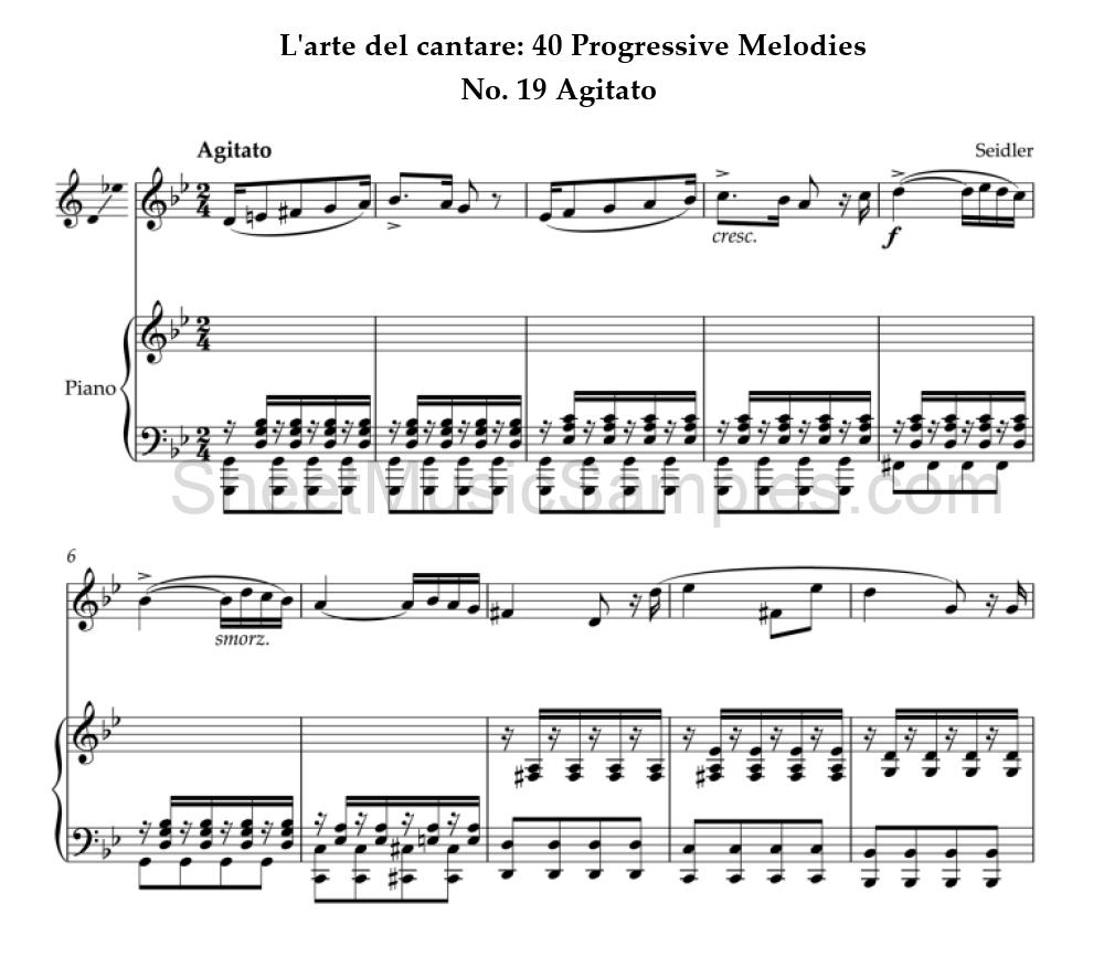 L'arte del cantare: 40 Progressive Melodies - No. 19 Agitato