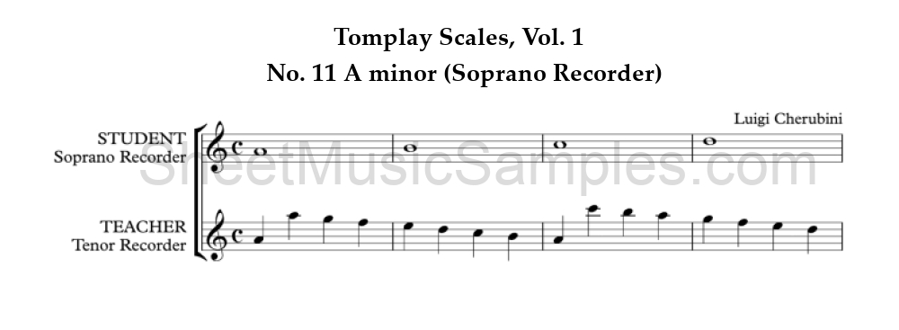 Tomplay Scales, Vol. 1 - No. 11 A minor (Soprano Recorder)