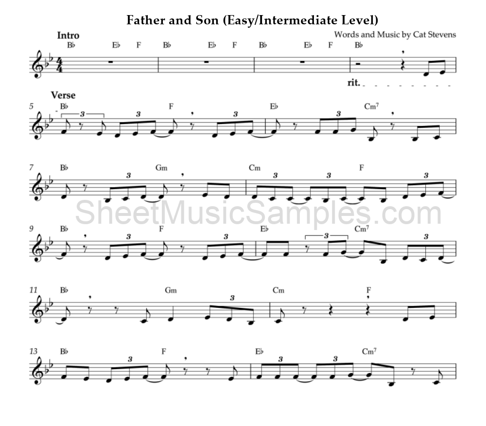 Father and Son (Easy/Intermediate Level)