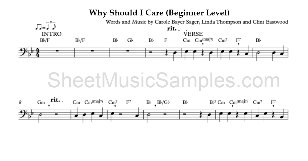 Why Should I Care (Beginner Level)