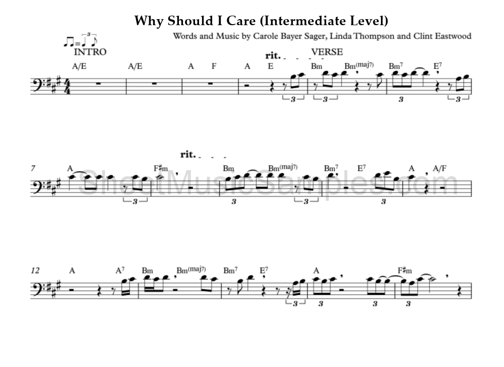 Why Should I Care (Intermediate Level)