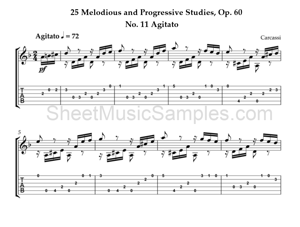 25 Melodious and Progressive Studies, Op. 60 - No. 11 Agitato