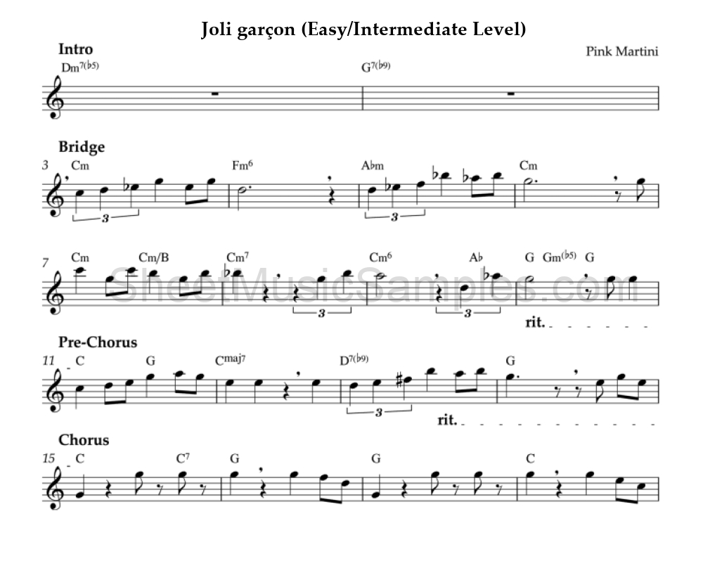 Joli garçon (Easy/Intermediate Level)