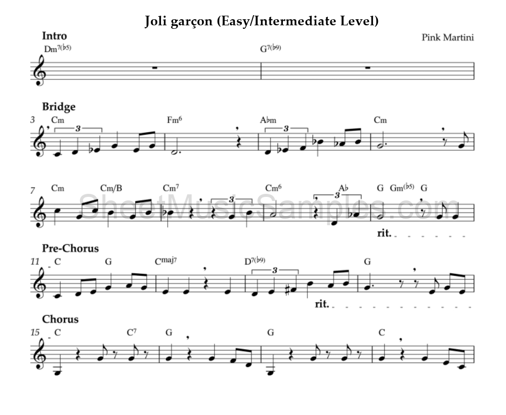 Joli garçon (Easy/Intermediate Level)