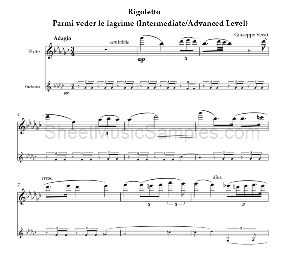 Rigoletto - Parmi veder le lagrime (Intermediate/Advanced Level)