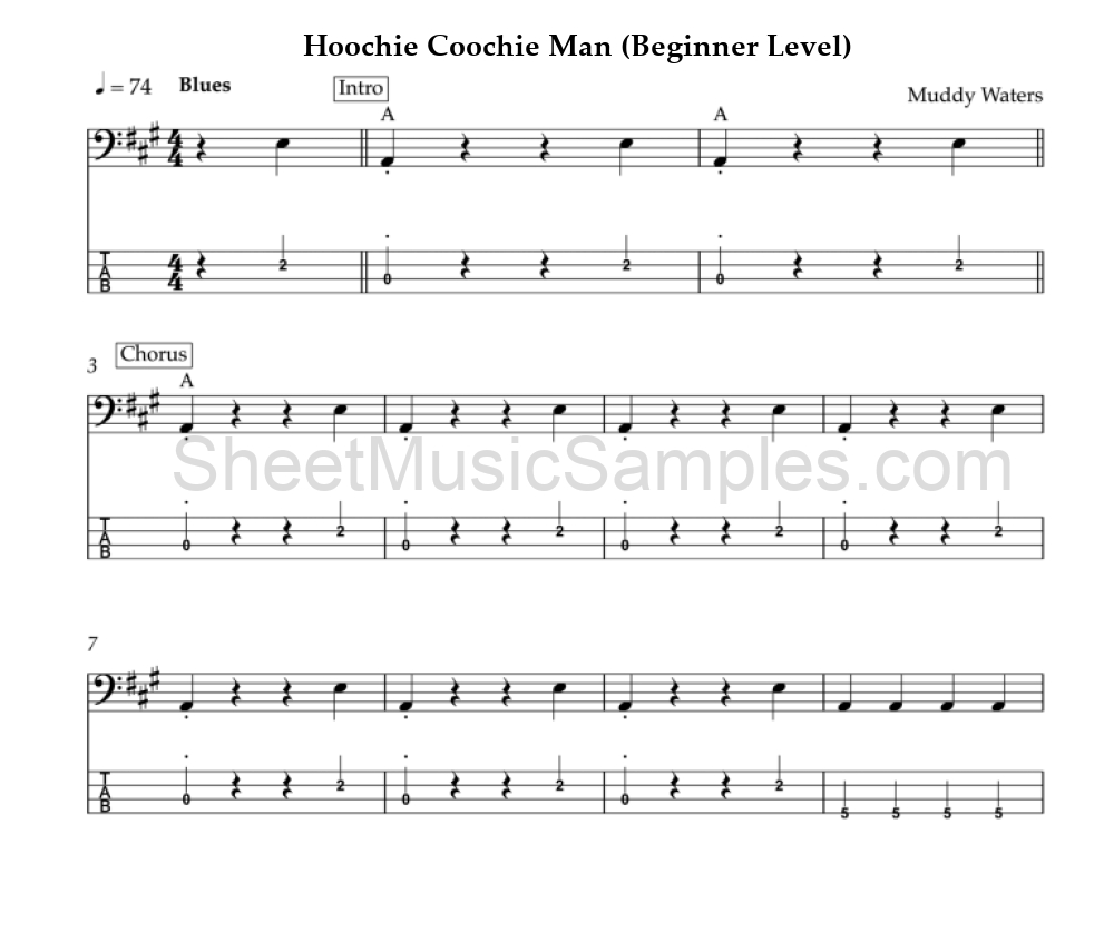 Hoochie Coochie Man (Beginner Level)