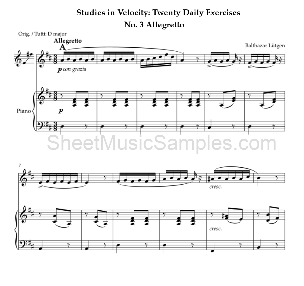 Studies in Velocity: Twenty Daily Exercises - No. 3 Allegretto