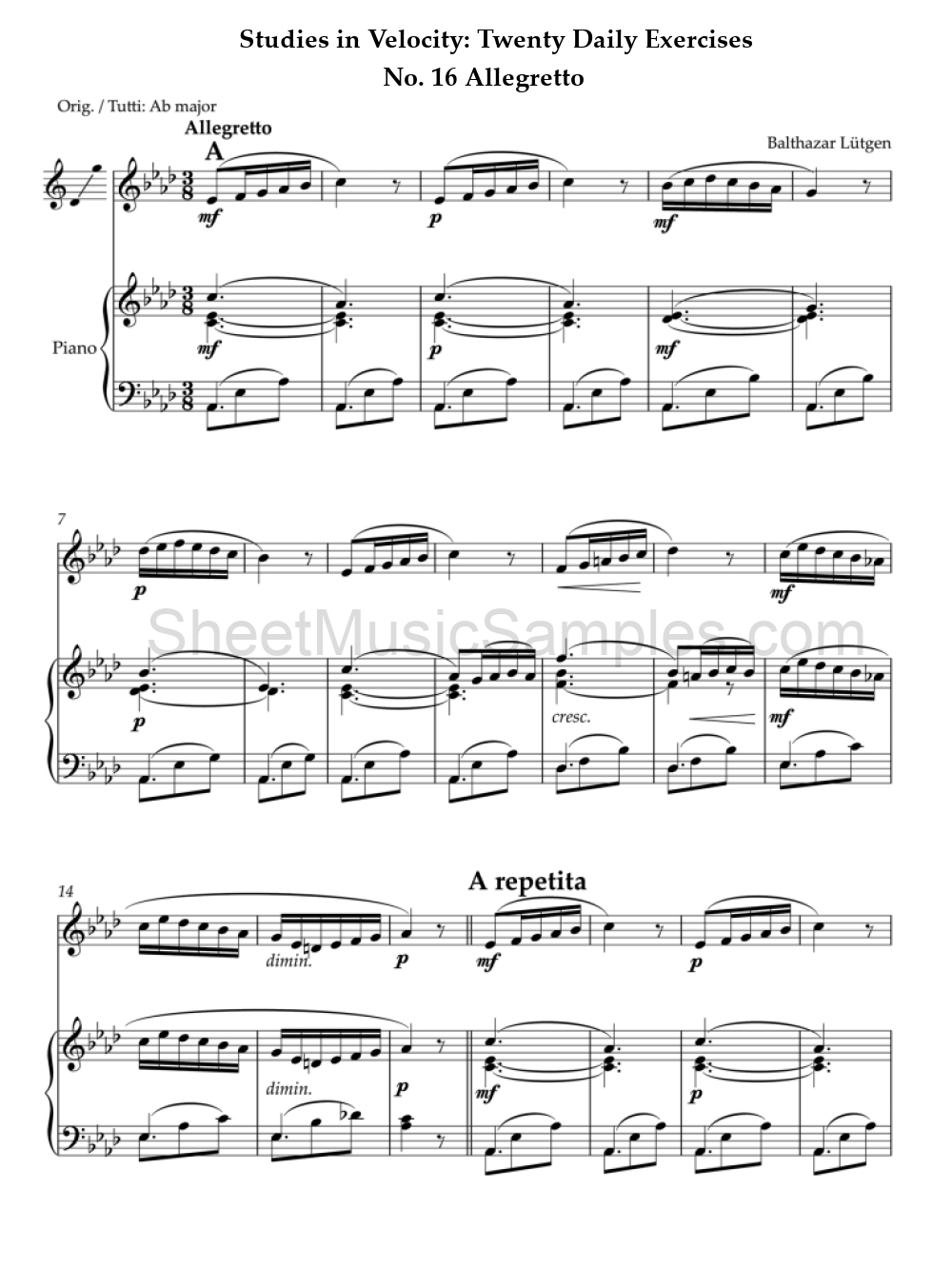 Studies in Velocity: Twenty Daily Exercises - No. 16 Allegretto