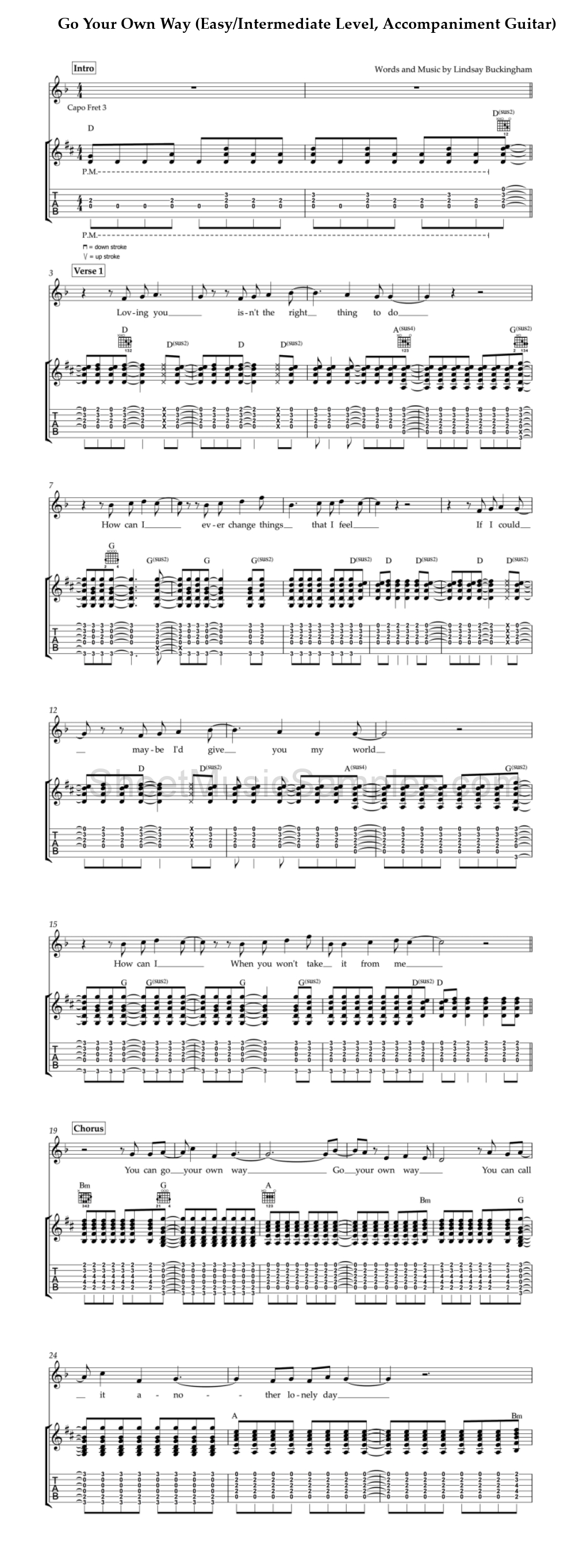 Go Your Own Way (Easy/Intermediate Level, Accompaniment Guitar)