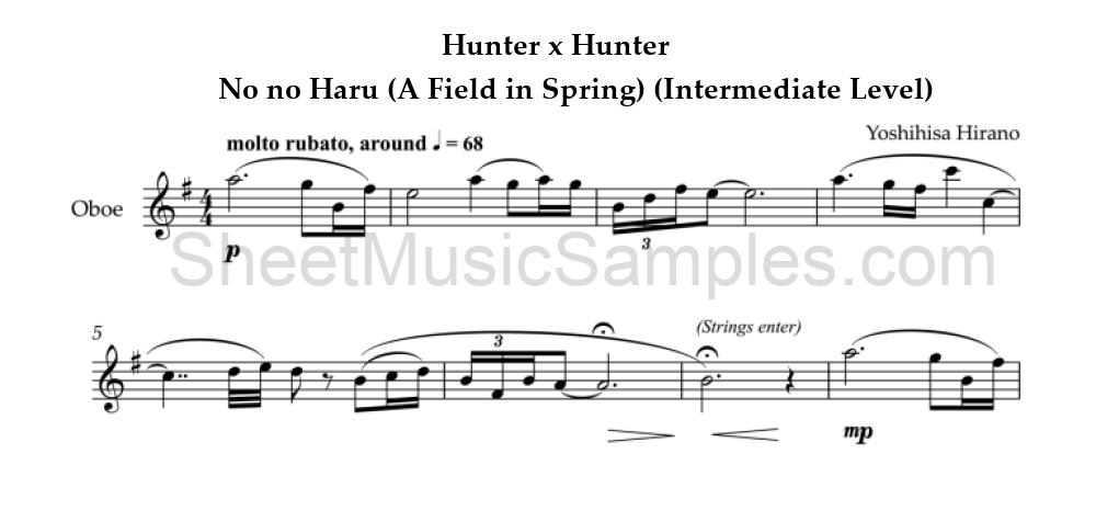 Hunter x Hunter - No no Haru (A Field in Spring) (Intermediate Level)