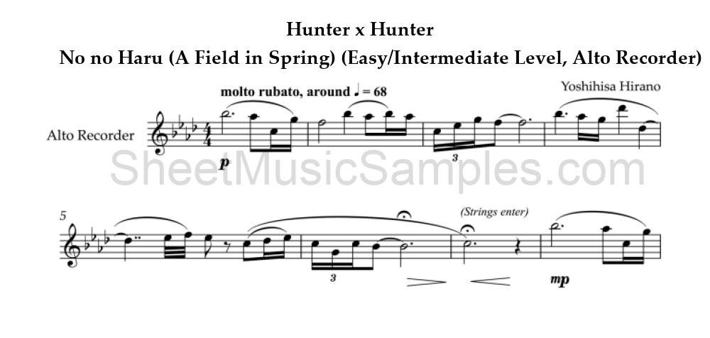 Hunter x Hunter - No no Haru (A Field in Spring) (Easy/Intermediate Level, Alto Recorder)