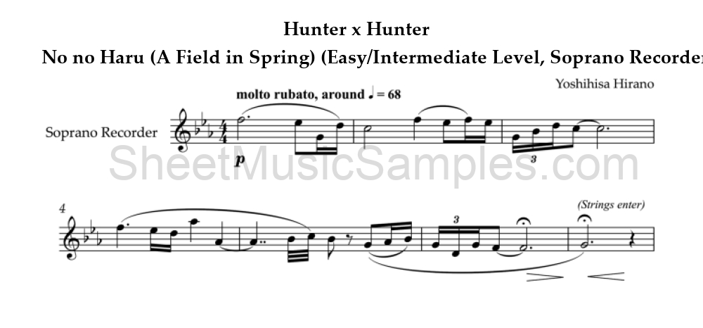 Hunter x Hunter - No no Haru (A Field in Spring) (Easy/Intermediate Level, Soprano Recorder)