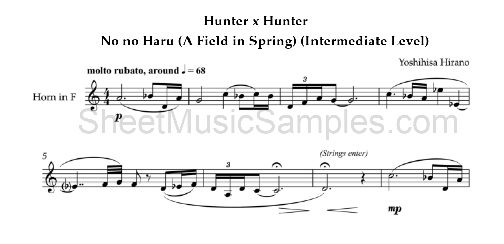 Hunter x Hunter - No no Haru (A Field in Spring) (Intermediate Level)