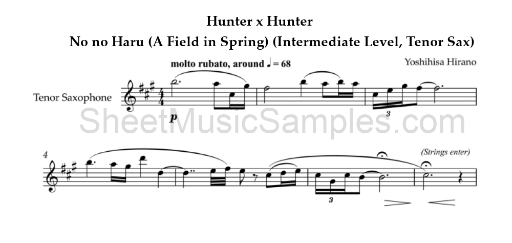 Hunter x Hunter - No no Haru (A Field in Spring) (Intermediate Level, Tenor Sax)