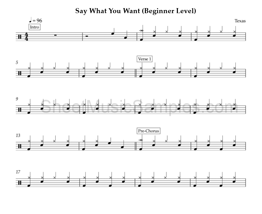 Say What You Want (Beginner Level)