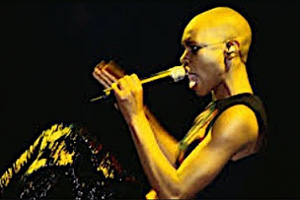 Hedonism by Anansie Skunk